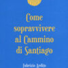 Come sopravvivere al cammino di Santiago
