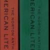 The Norton Anthology of American Literature: A & B (Inglese)