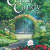 Candy Candy. Il romanzo completo