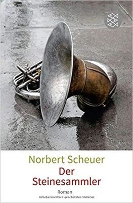 Der steinesammler: Roman