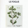 Le foglie. Cultura e salute dalle piante selvatiche