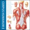 Corpus humanum. Ediz. italiana, inglese, francese, spagnola e tedesca