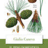 Il pino domestico