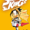 Shaman king. Final edition Vol. 16