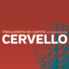 Finalmente ho capito la plasticità del cervello