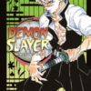 Demon slayer. Kimetsu no yaiba Vol. 17