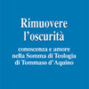 Rimuovere l'oscurità. Conoscenza e amore nella somma