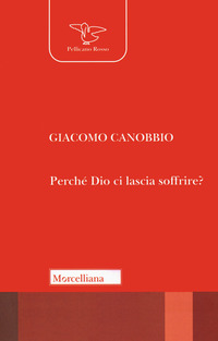 Perché Dio ci lascia soffrire?