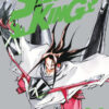 Shaman king. Final edition Vol. 30