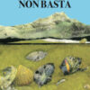 Non basta. Ediz. a colori