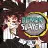 Demon slayer. Kimetsu no yaiba Vol. 20