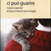 Un miao ci può guarire. Come e perché le fusa ci fanno stare meglio