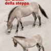 Gli ultimi della steppa