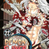 Demon slayer. Kimetsu no yaiba Vol. 22