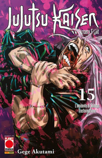 Jujutsu Kaisen. Sorcery Fight Vol. 15