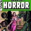 The vault of horror Vol. 2