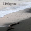 Il pellegrino