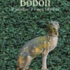 Boboli. Il giardino e i suoi labirinti. Ediz. a colori