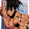 One-Punch Man Vol. 13