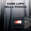 Come lupo nella pioggia