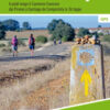 Il cammino di Santiago. A piedi lungo il Cammino francese dai Pirenei a Santiago de Compostela in 36 tappe. Nuova ediz.