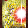 I cavalieri dello zodiaco. Saint Seiya. Final edition Vol. 10