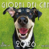 I giorni dei cani calendario 2026