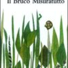 Il bruco misuratutto. Ediz. illustrata