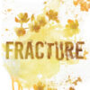Fracture. Ediz. italiana