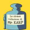 La strana collezione di Mr. Karp. Ediz. ad alta leggibilità