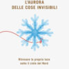 L'aurora delle cose invisibili. Ritrovare la propria luce sotto il cielo del Nord
