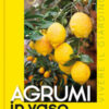 Agrumi in vaso
