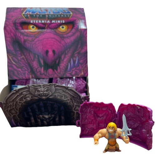 Master of the Universe Mini Figure