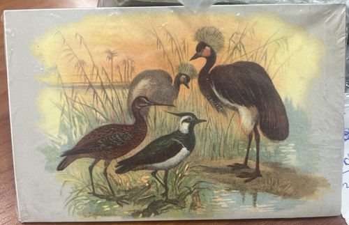 Set 10 Cartoline Vintage Uccelli Natura Non Viaggiate Nuove Collezione Postcard