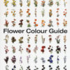 Flower color guide. Ediz. a colori