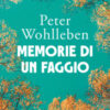 Memorie di un faggio