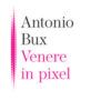Venere in pixel