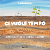 Ci vuole tempo. La storia dell'evoluzione raccontata da un sasso. Ediz. a colori