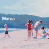 Marea