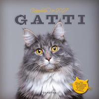 Gatti. Calendario 2027 da parete (30 x 30 cm)