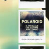 Polaroid. Il manuale che stavate aspettando. Guida creativa completa
