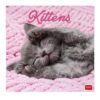 Legami - Calendario 2027 da Muro, Kittens, 12 Mesi, 30 x 29 cm
