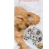 Legami - Calendario da Parete 2027, Best Friends, 12 Mesi, 16 x 49 cm