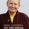 Vivi nella bellezza. L'incertezza, il cambiamento, la felicità