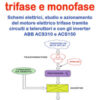 Motore asincrono trifase e monofase. Schemi elettrici, studio e azionamento del motore elettrico trifase tramite circuiti a teleruttori e con gli inverter ABB ACS310 e ACS150