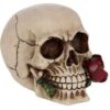 Nemesis Now - Statuetta di Rosa dei Morti, 13,5 cm, Colore: Avorio